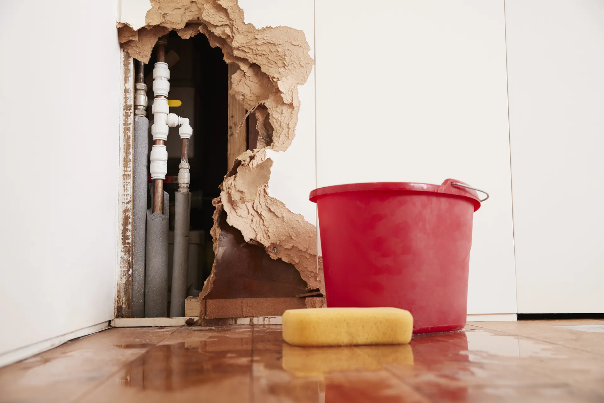 Leak Finders technician on site